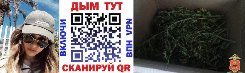 купить закладку  МЕГА как войти  Каннабис Ganja  Обоянь 